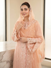 RTS | 3PC Heavy Embroidered Suit with Cotton Net Dupatta